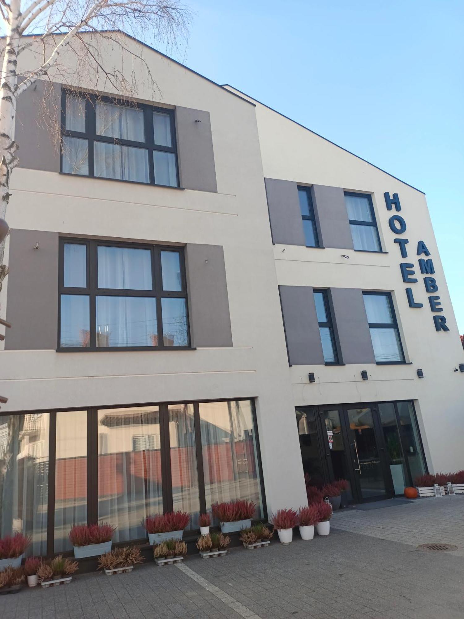 Hotelik & Restauracja Amber Рашин Экстерьер фото