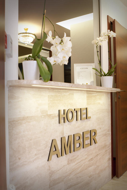 Hotelik & Restauracja Amber Рашин Экстерьер фото